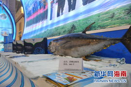 冬交會(huì)看館說三沙 展示祖國(guó)最南端的海產(chǎn)品與場(chǎng)地勘測(cè)